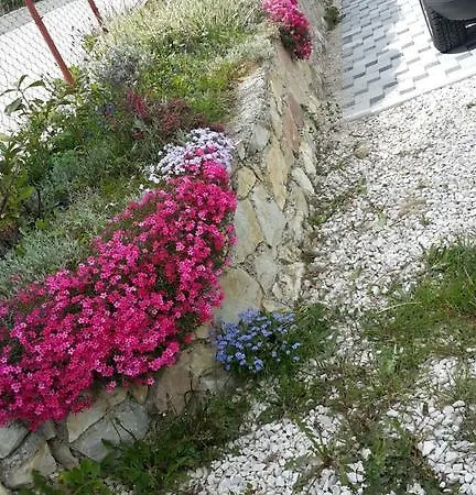 Holiday Ropi * Ilidža